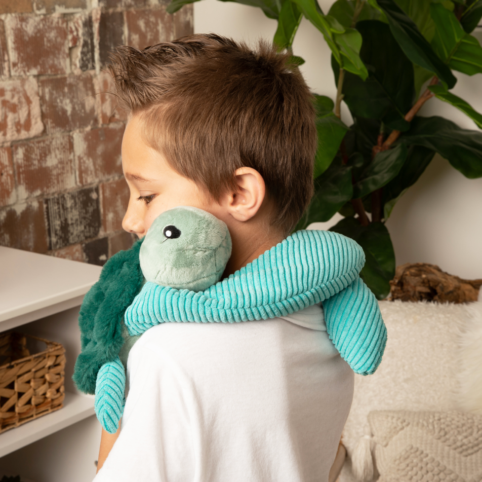 Sidney the Sea Turtle