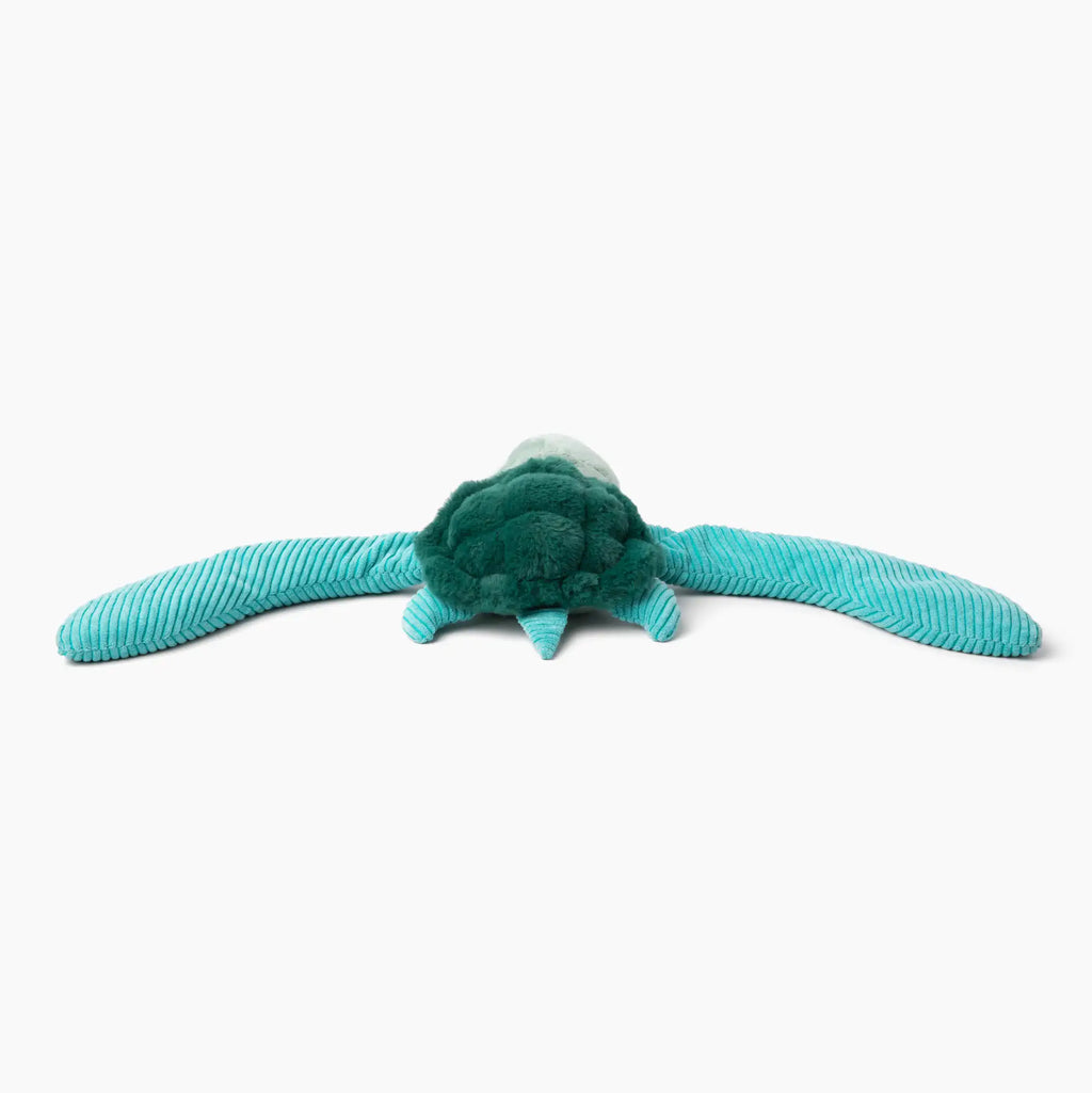 Sidney the Sea Turtle